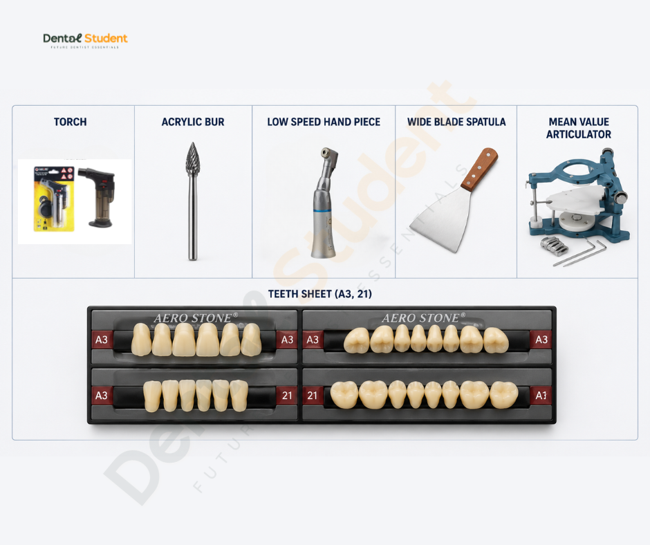 Alamein International University Level Two Dental Box