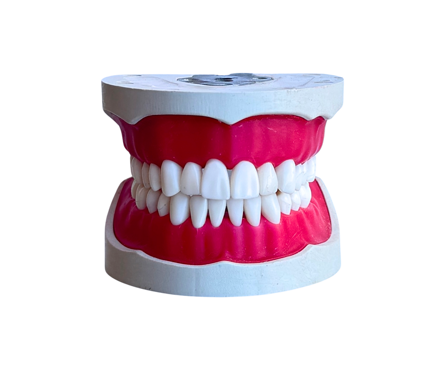 Origional AlBanna Soft Gingiva Cast Magnetic