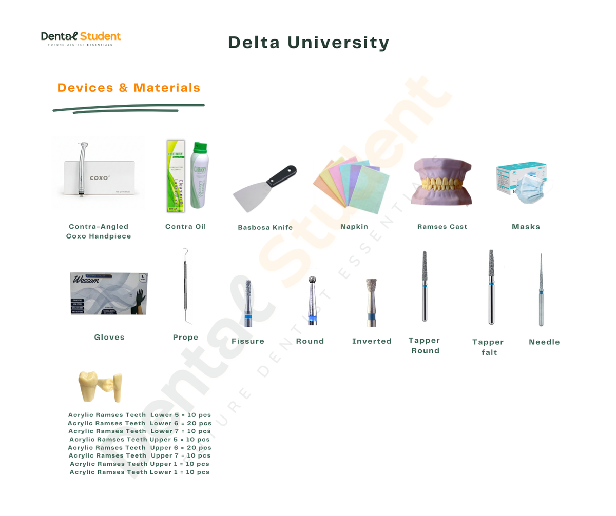 Delta University Level Two Dental Box