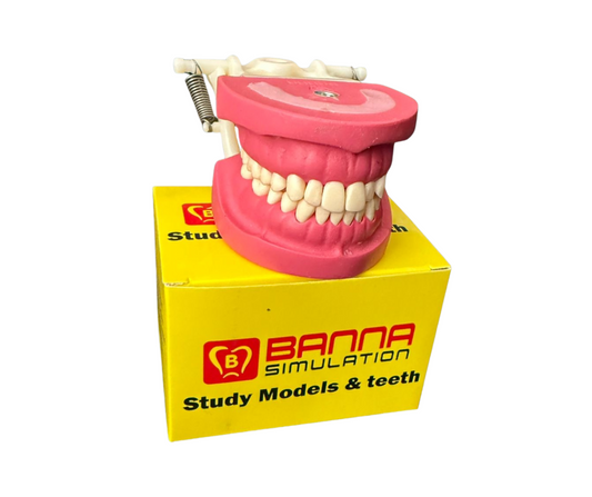 AlBanna Cast with plastic articulator