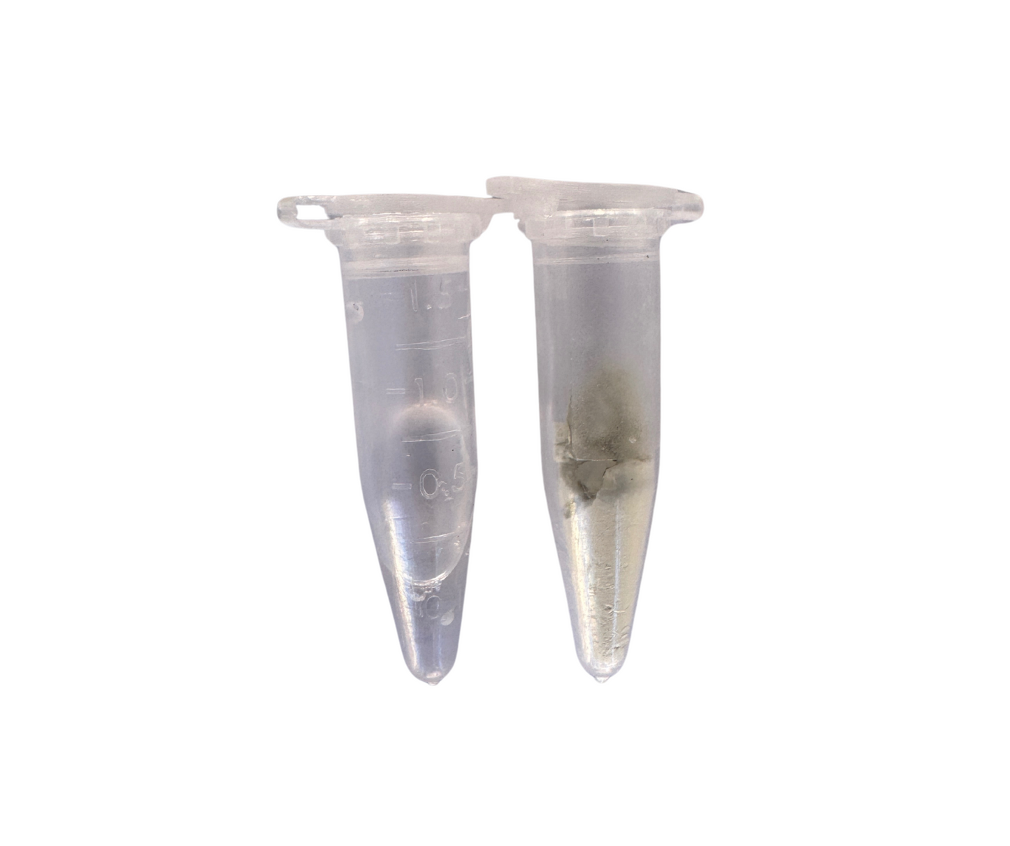 Zinc Phosphate Cement