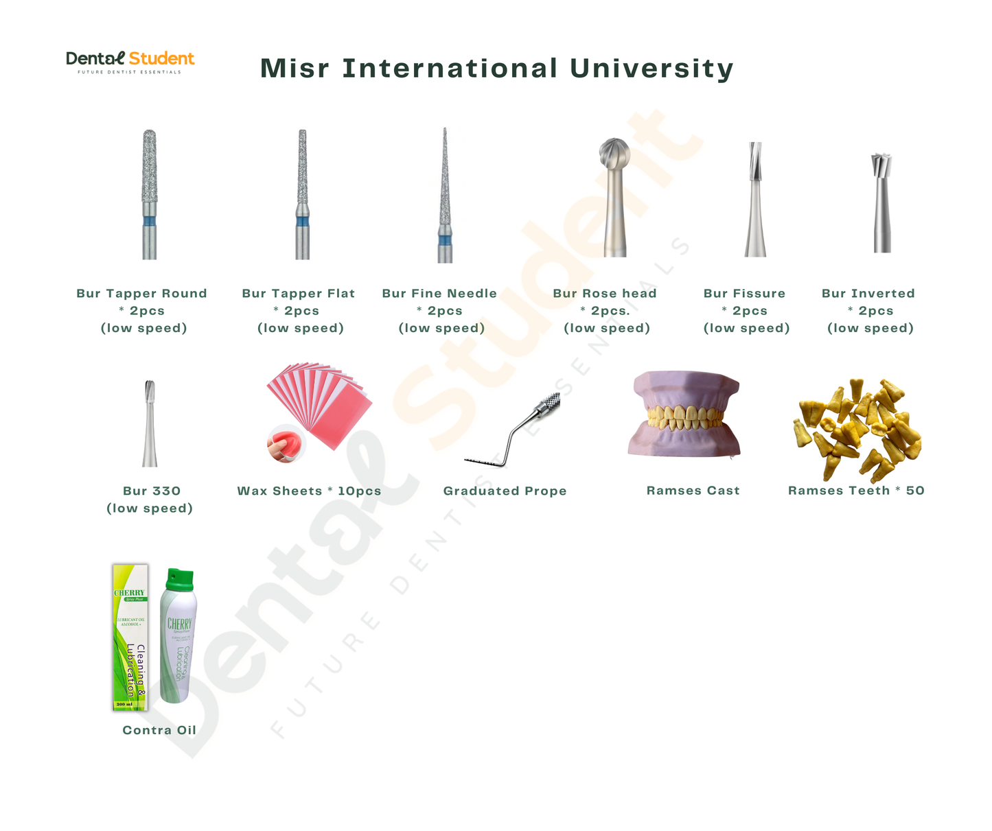 Misr International University Level Two