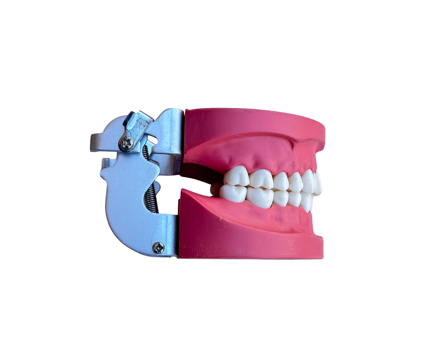 Origional Cast AlBanna with Pin Teeth