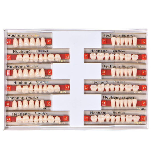 Acrylic Teeth Sheet