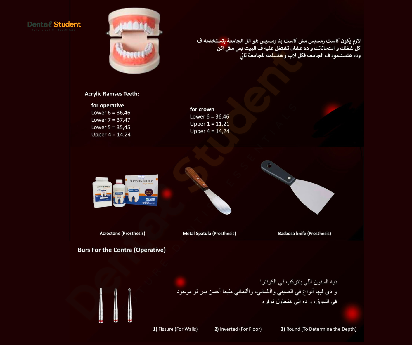 Future University Level Three Dental Box