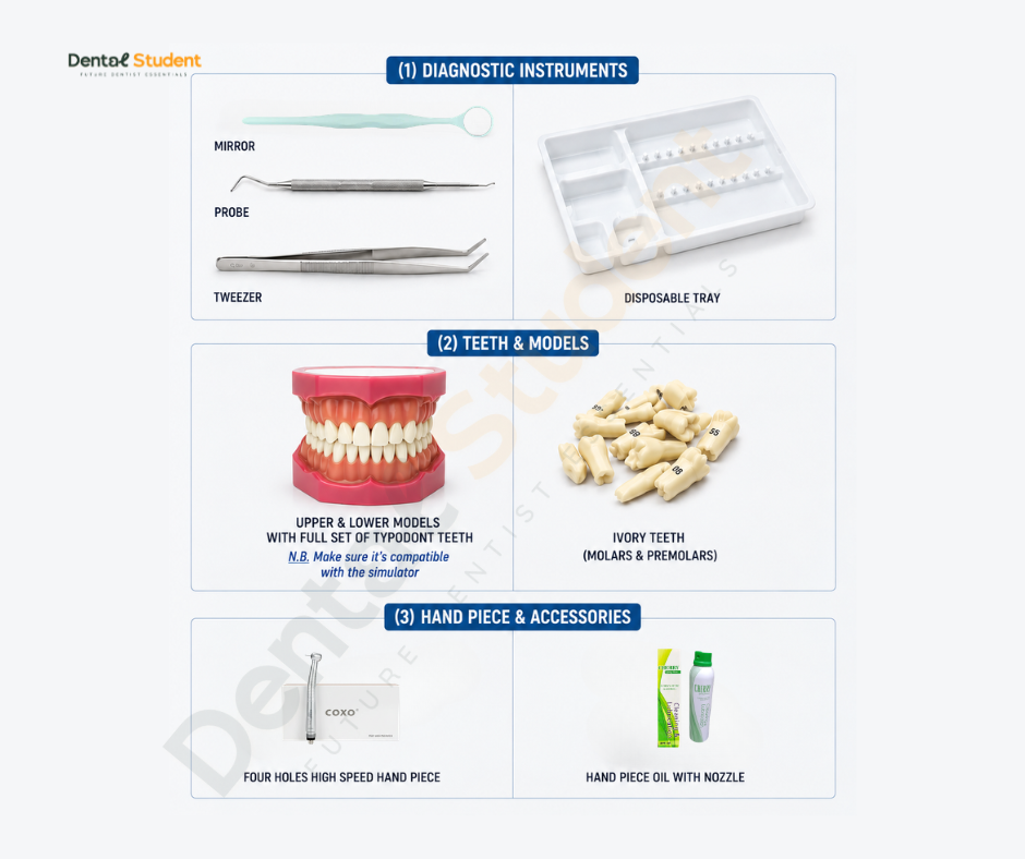 Alamein International University Level Two Dental Box