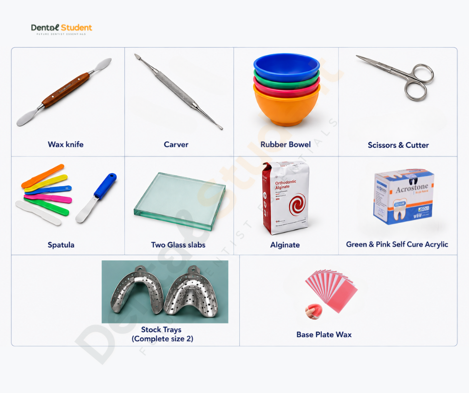 Alamein International University Level Two Dental Box