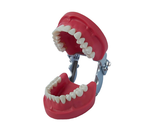 AlBanna Cast With Metal Articulator