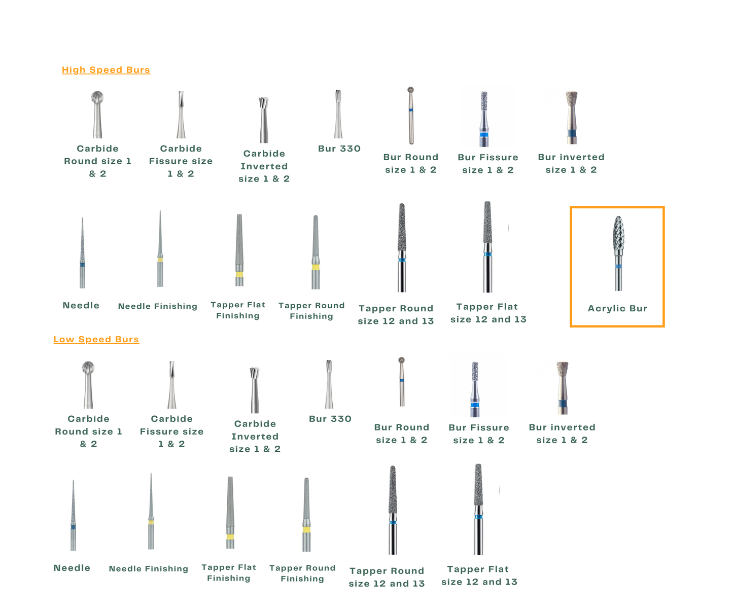 Banha National University Dental Level Two Box