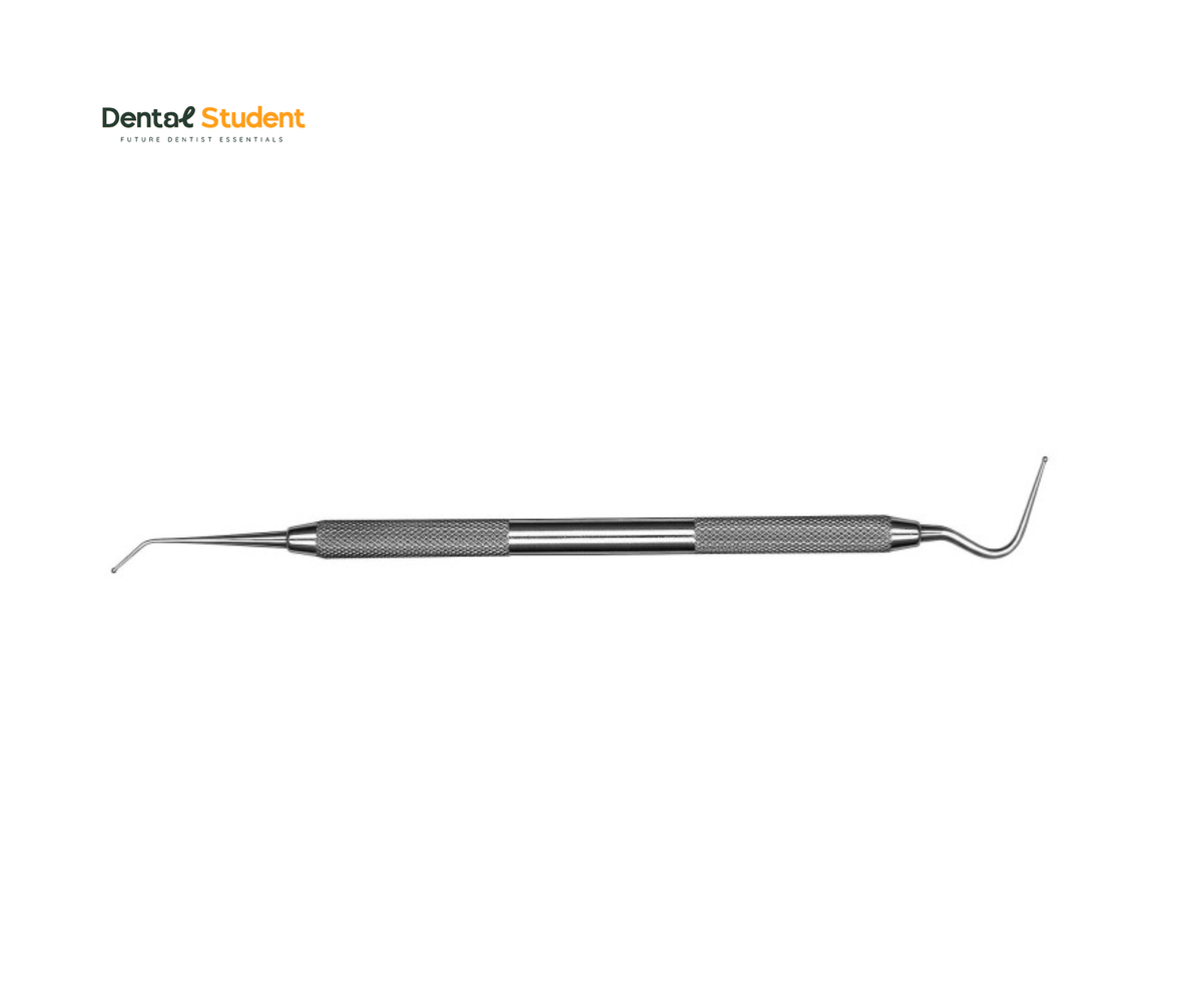 calcium hydroxide applicator – Dental Student Shop
