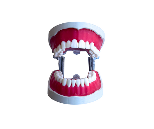 Origional AlBanna Soft Gingiva Cast Magnetic