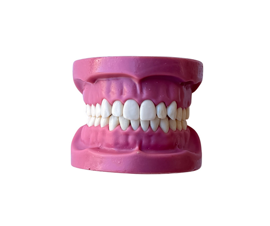 AlBanna Cast Magnetic Without Articulator