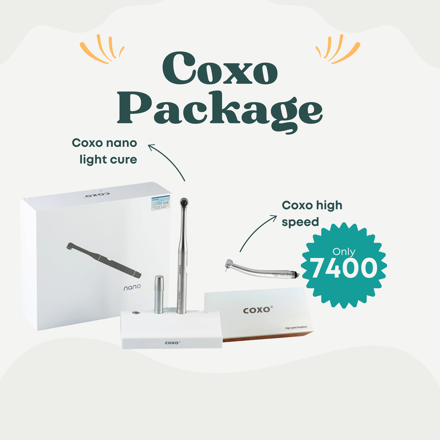 Coxo Bundle