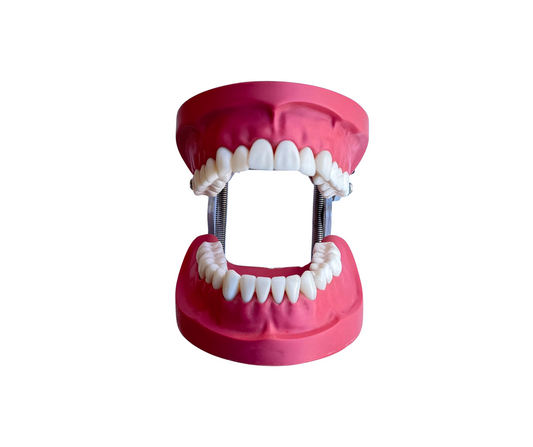 Origional Cast AlBanna with Pin Teeth